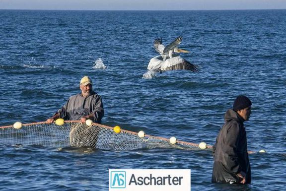 ماهیگیری درتهران 