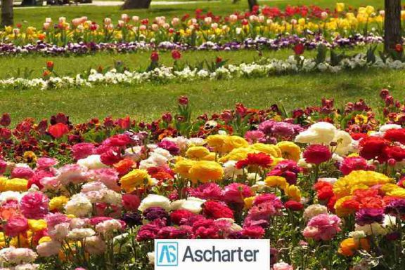 باغ گلهای اصفهان 