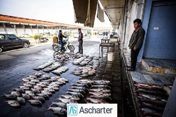 بازار ماهی فروشان ساری
