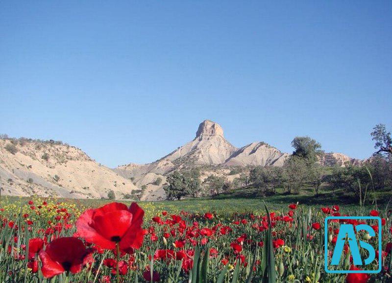 پارک کودک ایلام