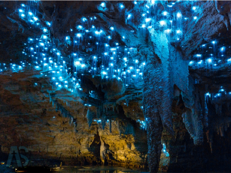 غارهای کرم شب تاب