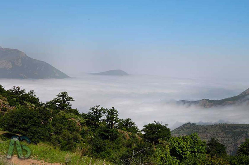 تفرجگاه جنگلی ششدار