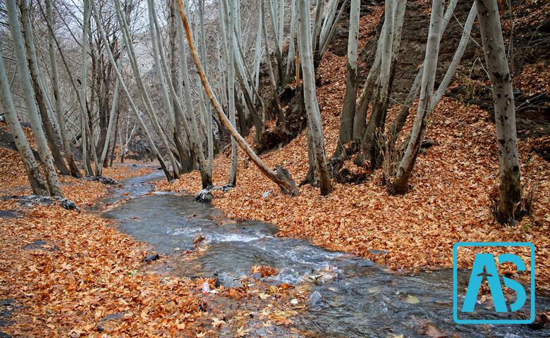 بازار بعثت طرقبه