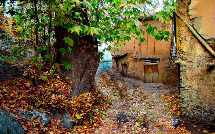 دره ارغوان طرقبه