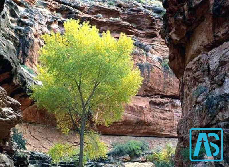 روستای سراب کلان