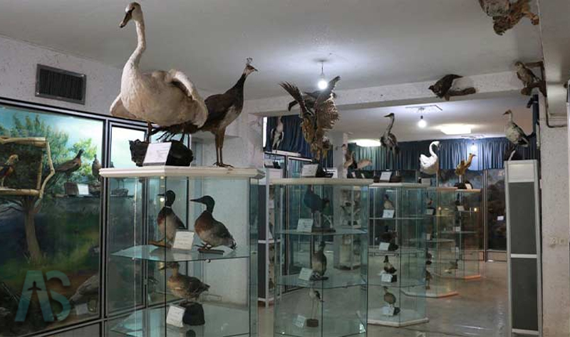 موزه جانوری کرمانشاه