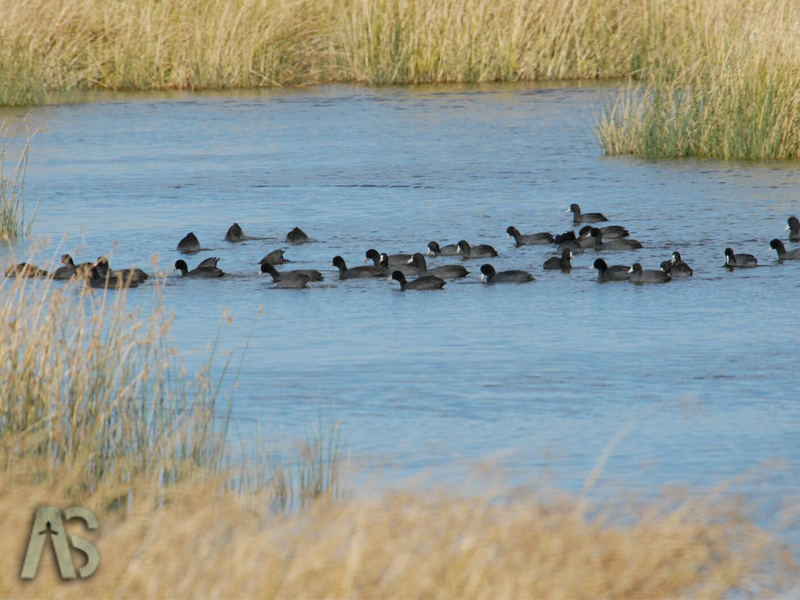 تالاب کانی برازان