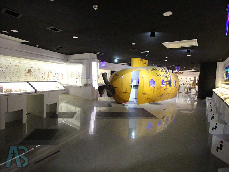 پارک علمی پروفسور بازیما