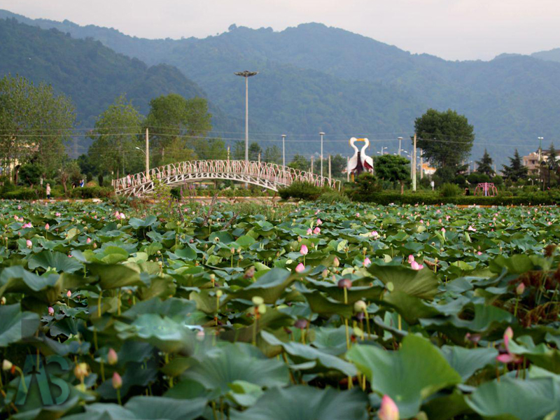 تالاب کیاکلایه