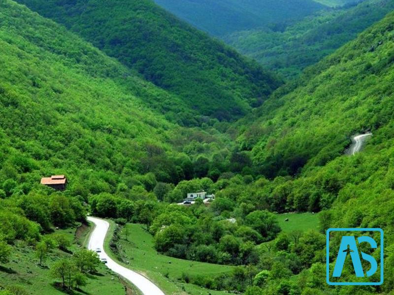 جنگل های ارسباران