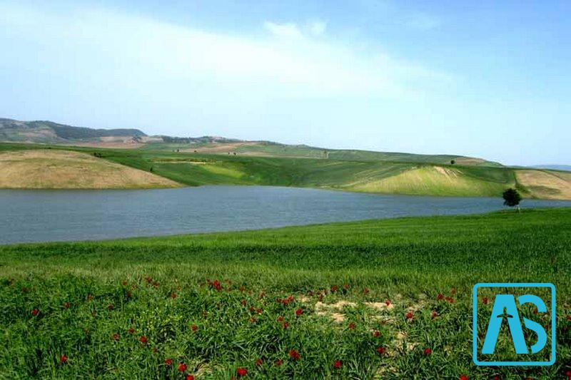 پوشش گیاهی شهرستان درگز