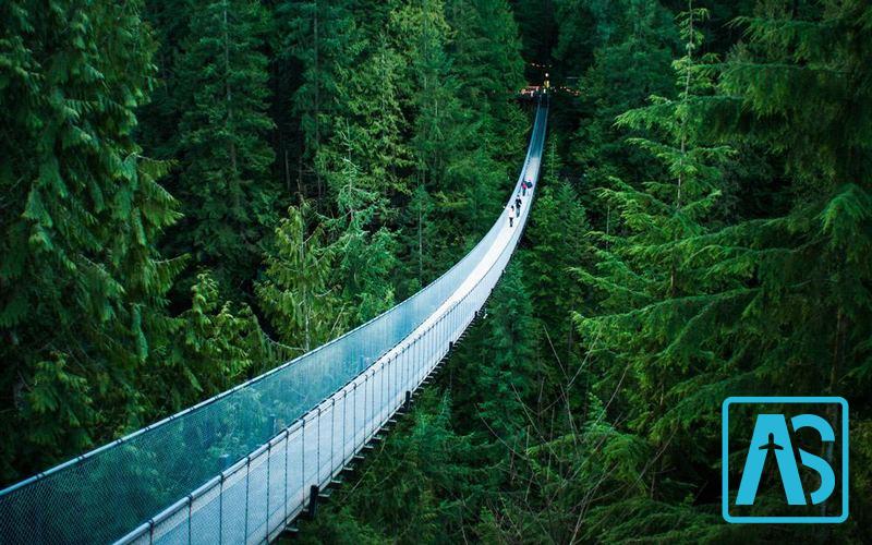 پل کشوا چاکا در پرو