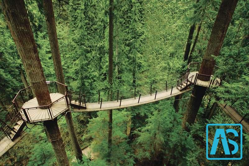 پل رویال جورج در ایالات متحده