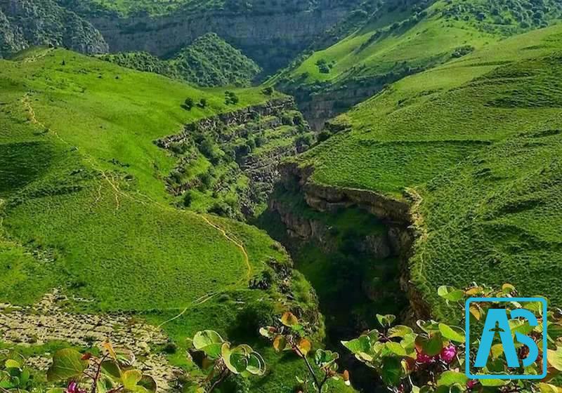 پوشش گیاهی قوچان