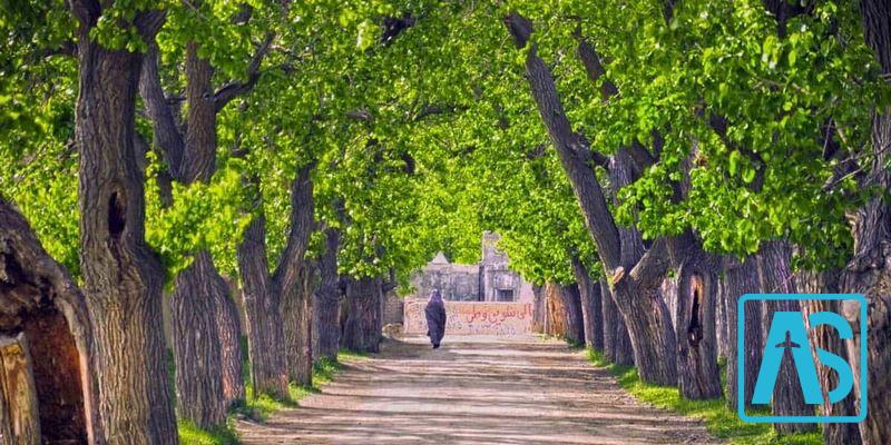 محصولات کشاورزی و دامداری قوچان