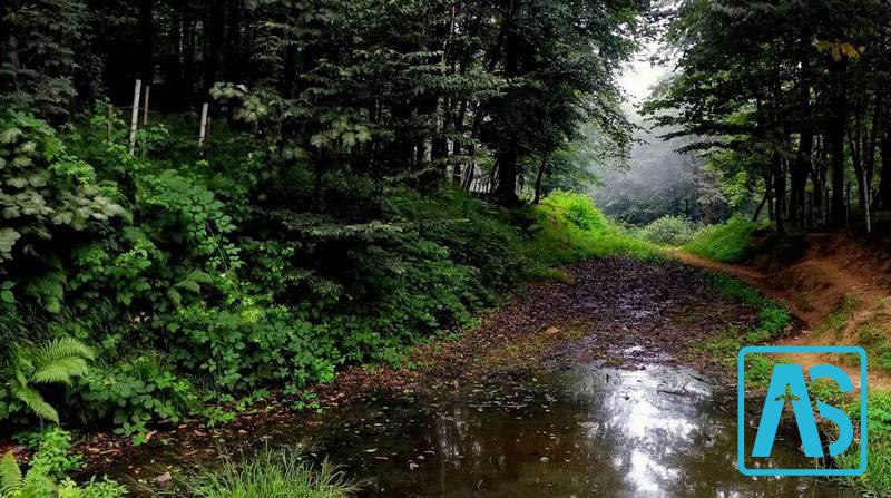 آبشار نره گر