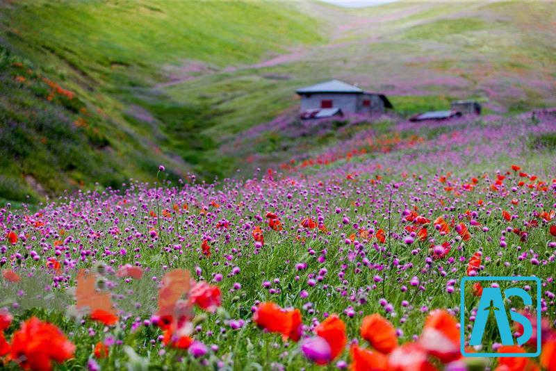 جاهای دیدنی خلخال اردبیل