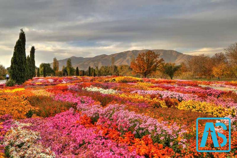 باغ میوه در باغ گیاه شناسی تهران