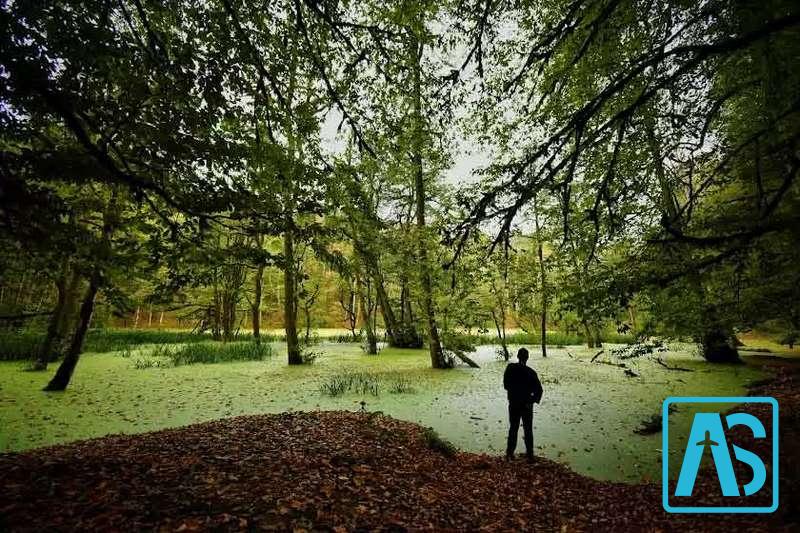 معرفی مرداب دیوک کلاردشت