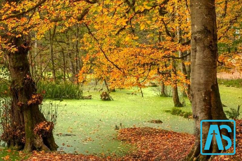 جاذبه های دیدنی نزدیک به مرداب دیوک کلاردشت