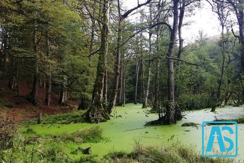 بهترین زمان سفر به مرداب دیوک