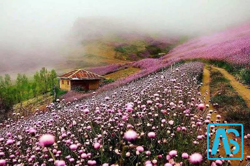 بهترین زمان برای سفر به هلودشت