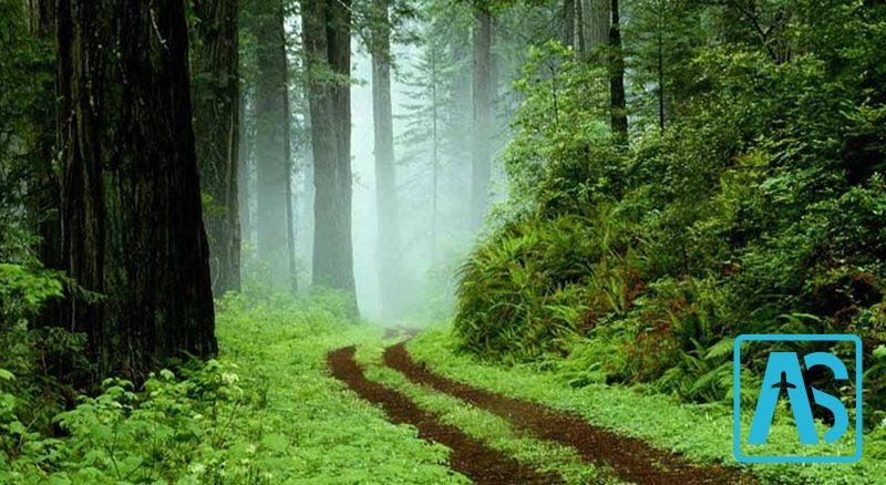 روستای کسما