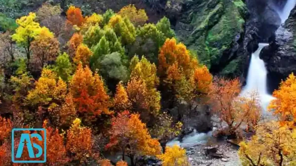 آبشار شلماش