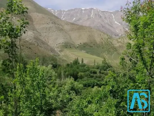 روستای بن سله