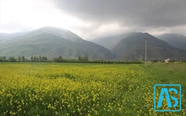 لالجین همدان