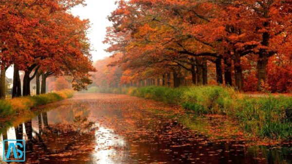 طبیعت زیبای شیراز در پاییز